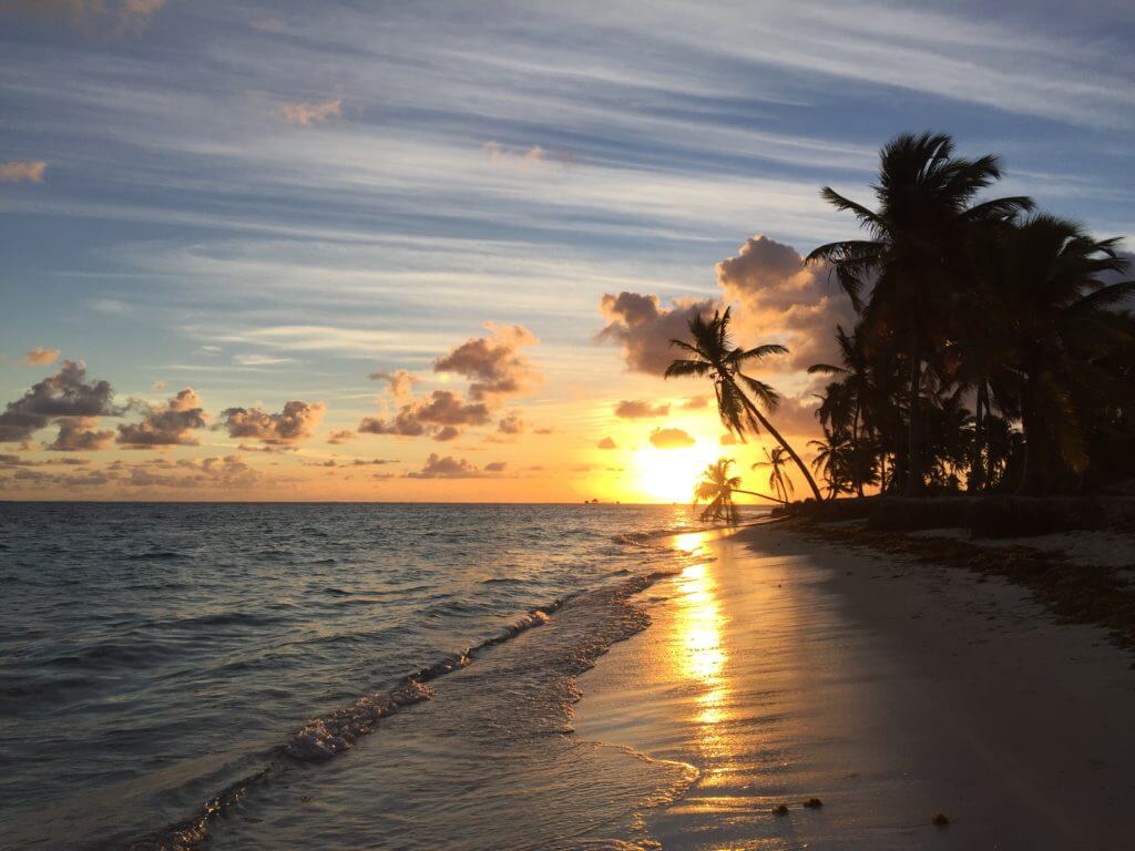 Sunrise over ocean in Punta Cana with palm tree silhouette