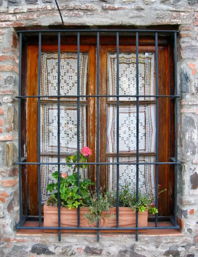 window with flower box and lace curtains