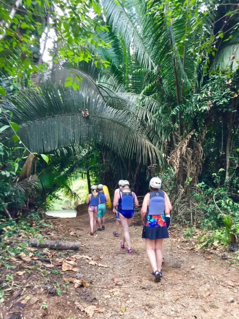 Hiking through the jungle