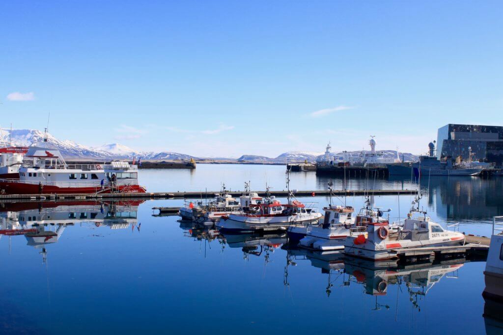 Boats on the marina