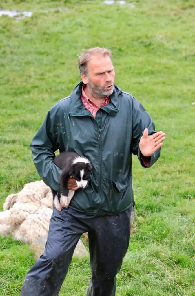 Shepherd Neil explaining his craft while holding a border collie puppy