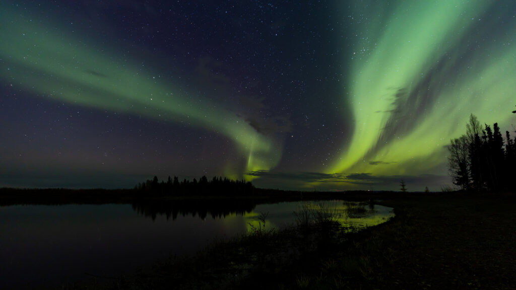 Green aurora borealis over a forest and water in Alaska