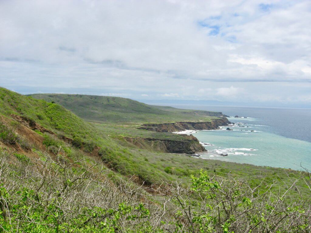 Rocky green coastline of Isla de la Plata