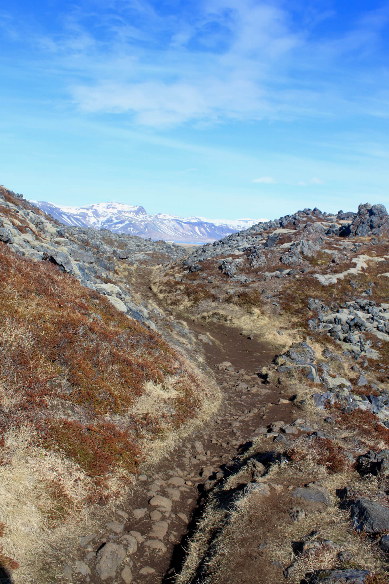 trail through Hellnar lava fields