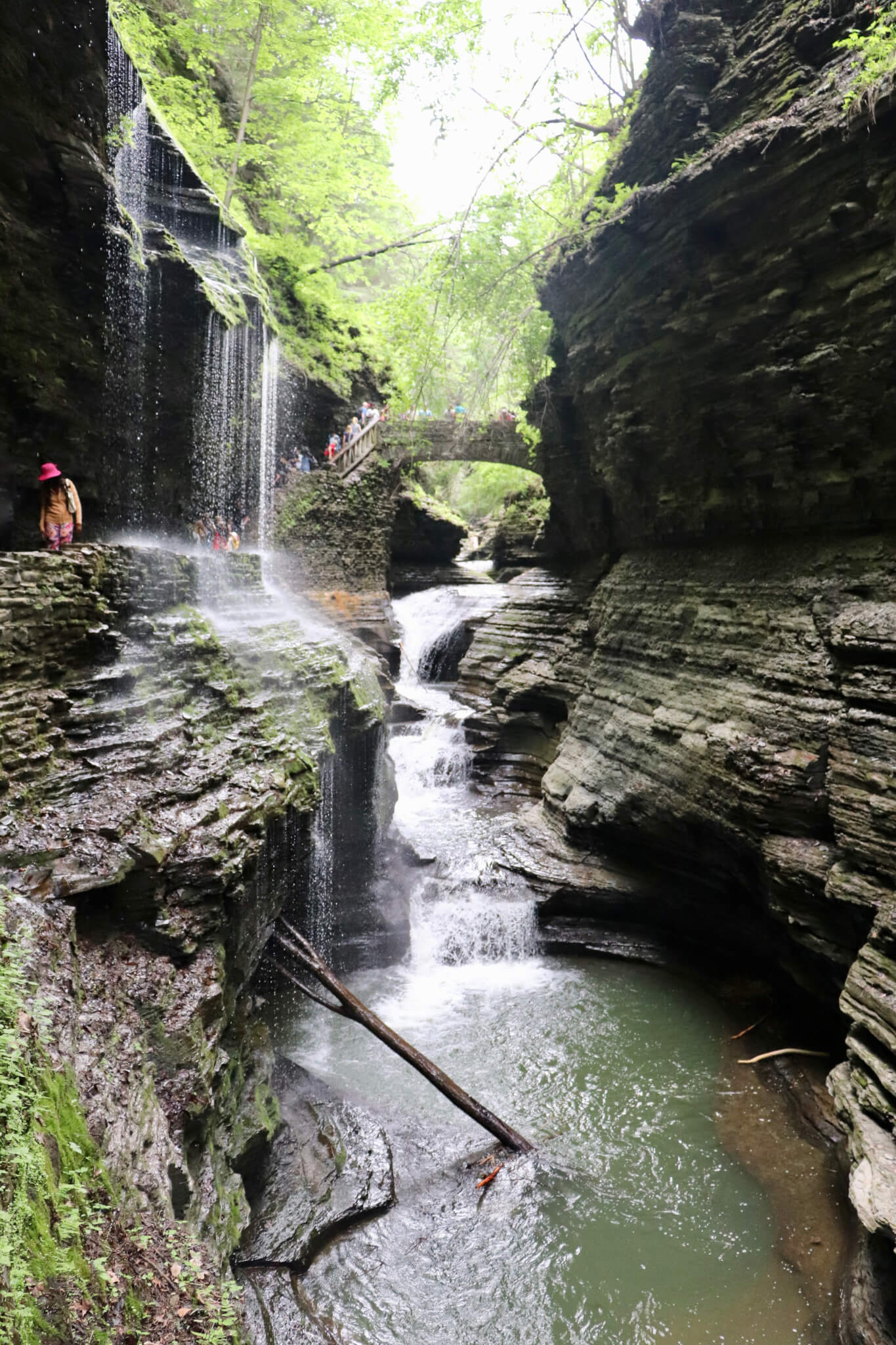 Water running through the gorge in Watkins Glen State Park