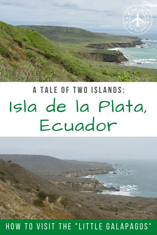 If you're on a budget, Isla de la Plata is a great alternative to the Galapagos. Take a tour from Puerto Lopez to see birds, whales, and more!
