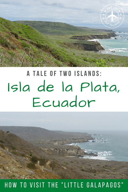 If you're on a budget, Isla de la Plata is a great alternative to the Galapagos. Take a tour from Puerto Lopez to see birds, whales, and more!