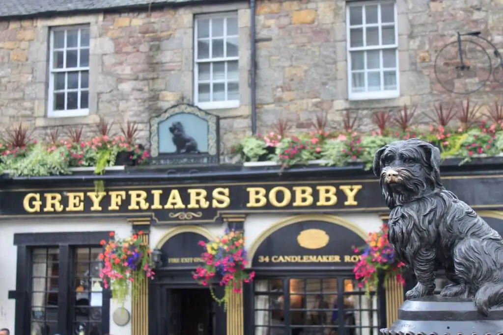 black statue of Greyfriar's Bobby dog with gold nose from being rubbed