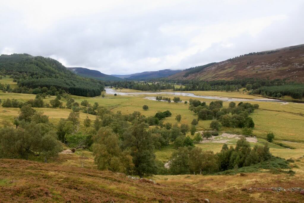 Green valley with river and hills