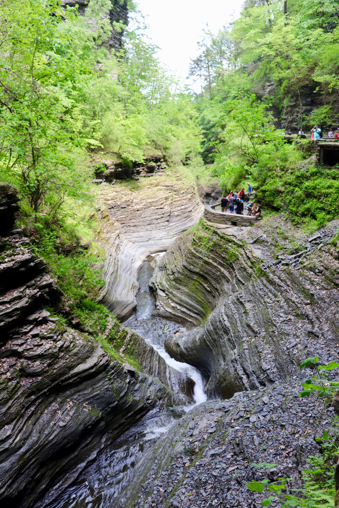 River running through gorge hiking trail in Watkins Glen State Park