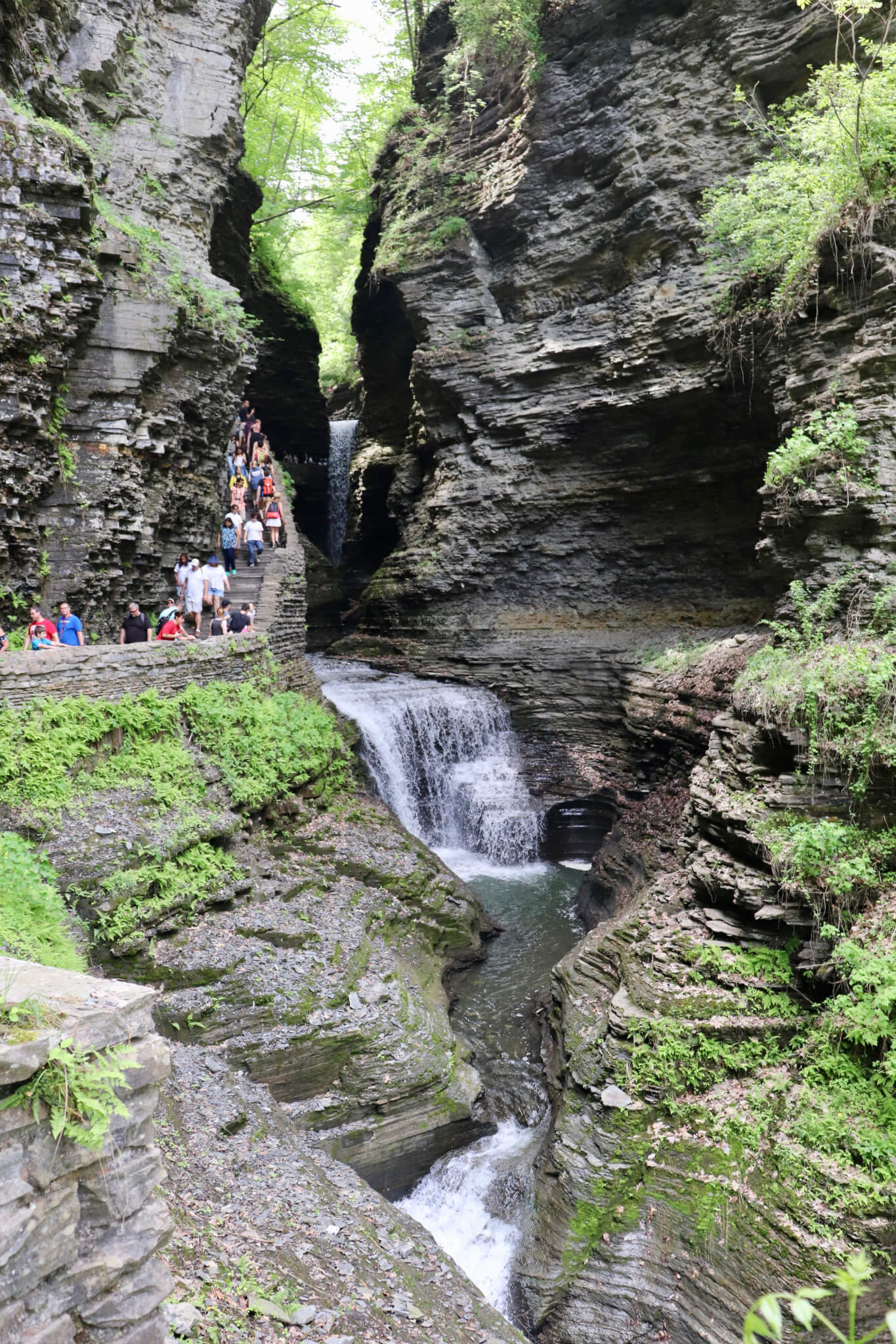 The Gorge Trail is great for hiking in Watkins Glen State Park