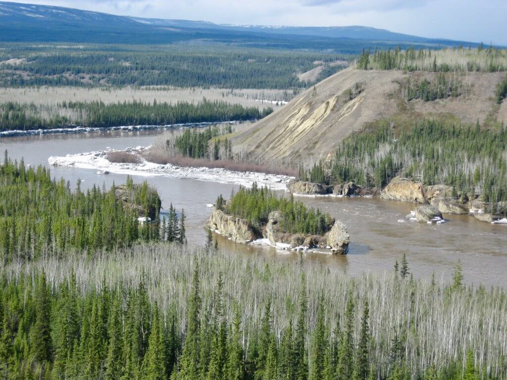 River cutting through pine forests with stone island in the middle (Five Finger Rapids)