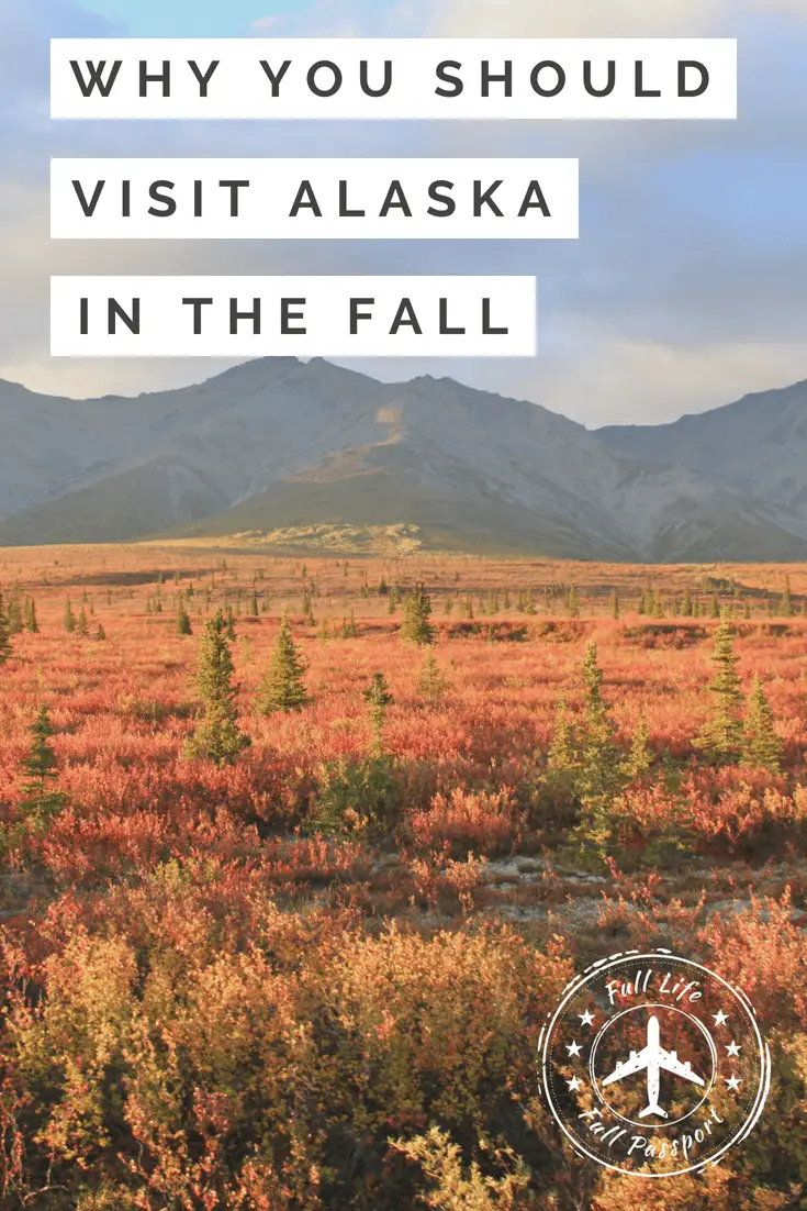Why You Should Visit Alaska in the Fall