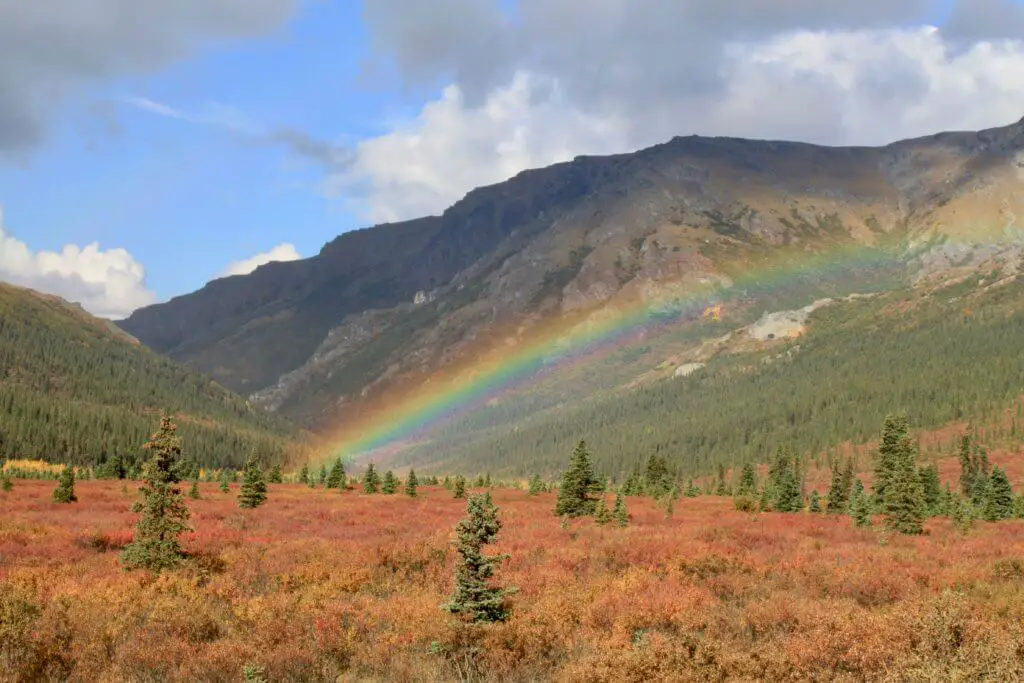 Rainbow touching red undergrowth and pine trees in front of mountains
