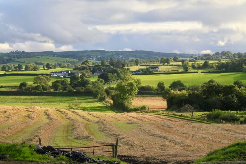 The green Irish countryside, courtesy of my mother-in-law's desire to stop for photos!