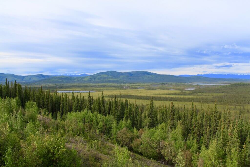 Trees, mountain, and vast Alaskan plain