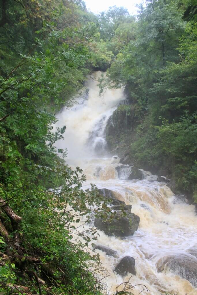 Torc Waterfall rushing through lush green forest