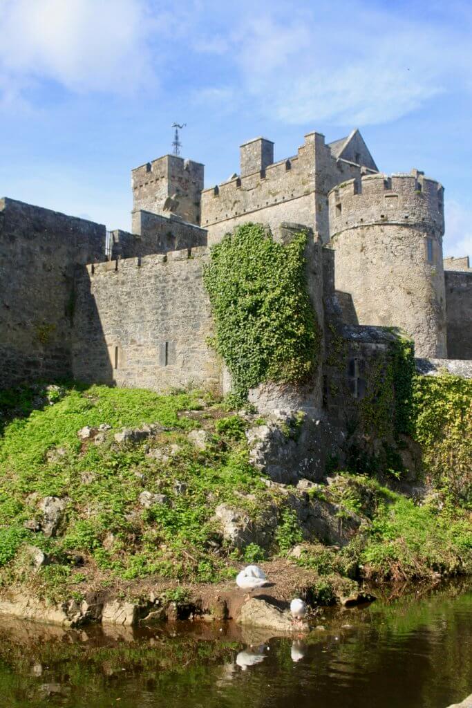 Exterior of Cahir Castle with river, ivy, and ducks