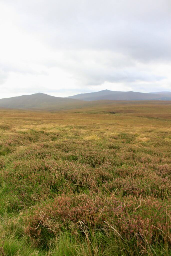 Treeless fields of heather and brown grass