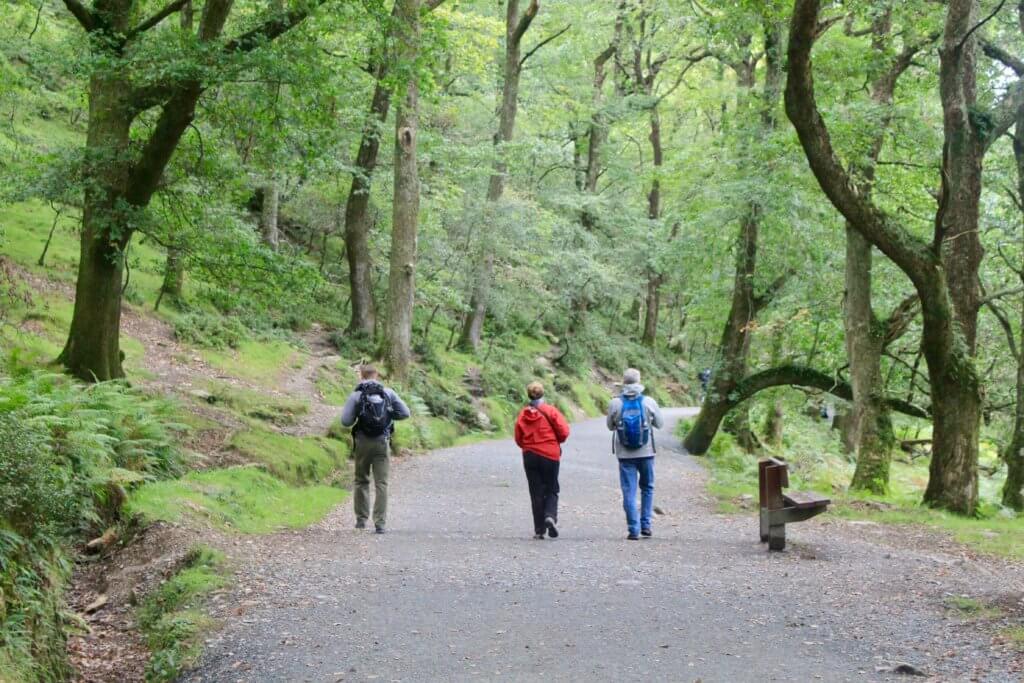 M and his parents walking on a wide path through a forest