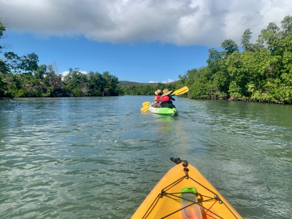 Mom and AB kayaking past mangroves