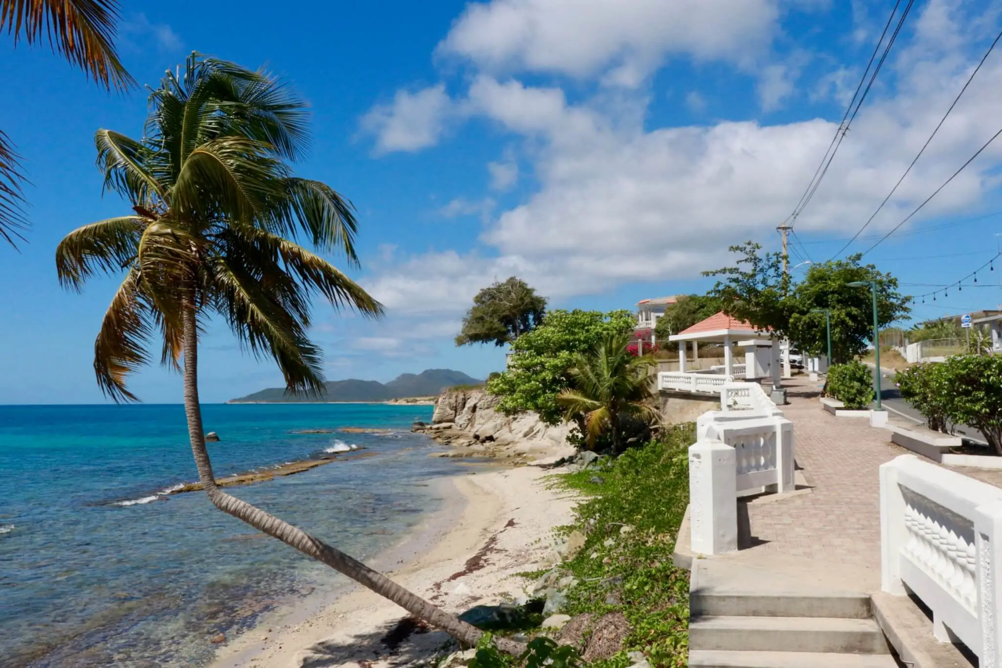 The end of the malecon in Vieques, with palm trees, azure water, and white concrete railing