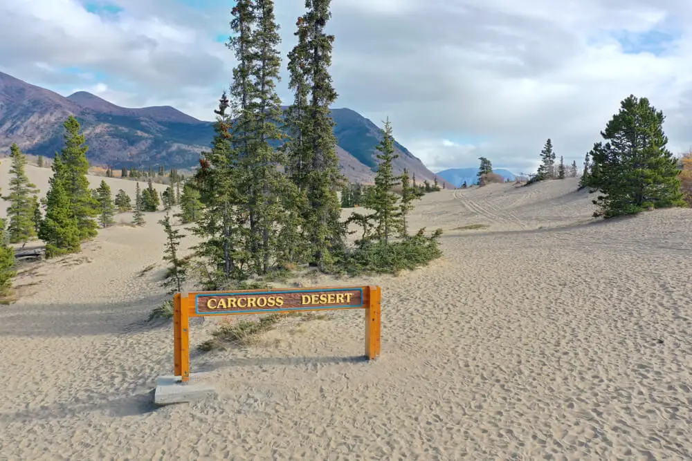 Carcross Desert sign on sand dunes with pine trees