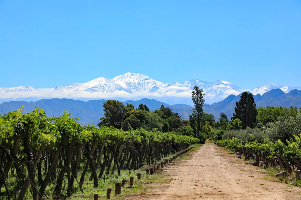 Dirt path through a vineyard with Andes Mountains beyond. Sipping wine in Argentina is a perfect mother-daughter trip activity!