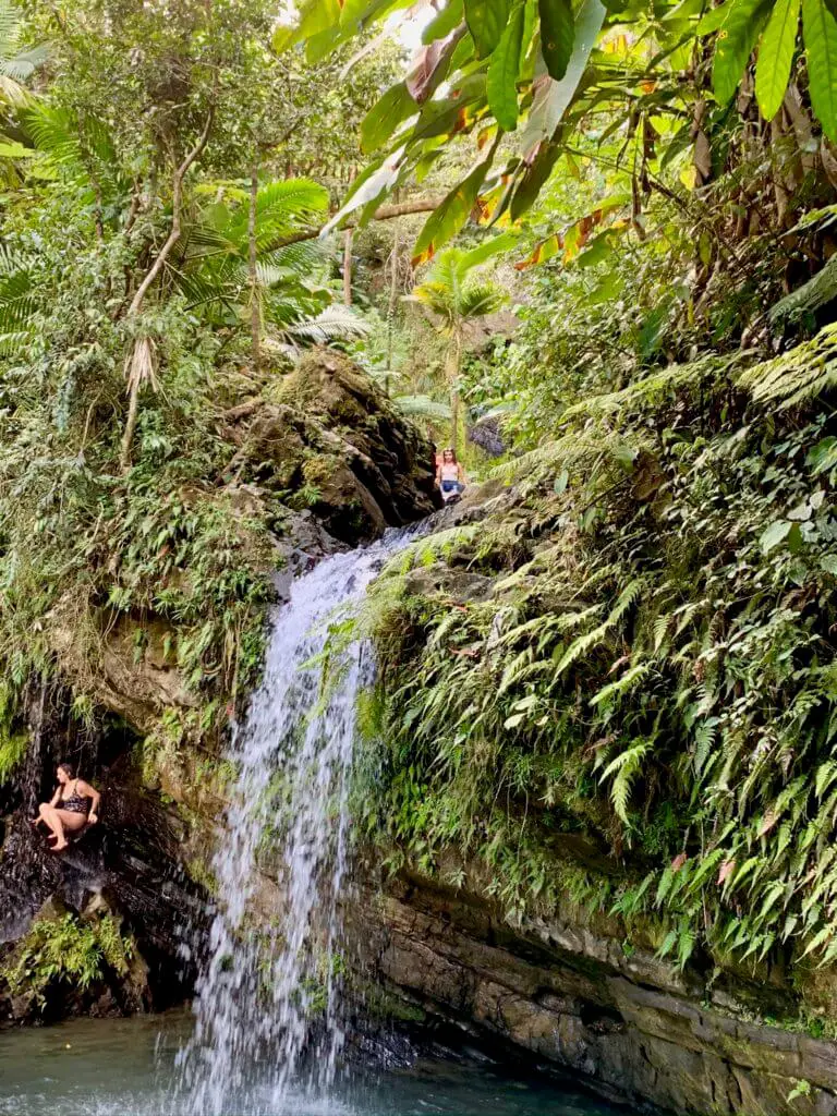 Juan Diego falls surrounded by lush vegetation