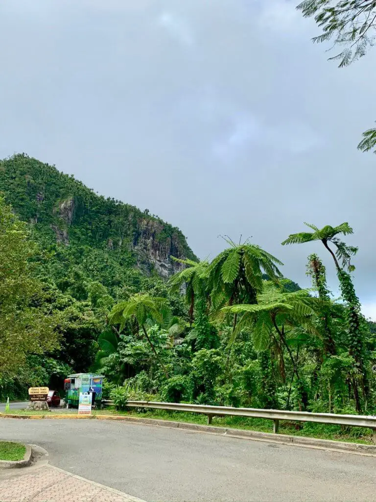 Lush vegetation and mountain in El Yunque