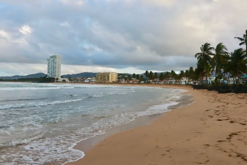 Beachfront with palm trees and town of Luquillo behind