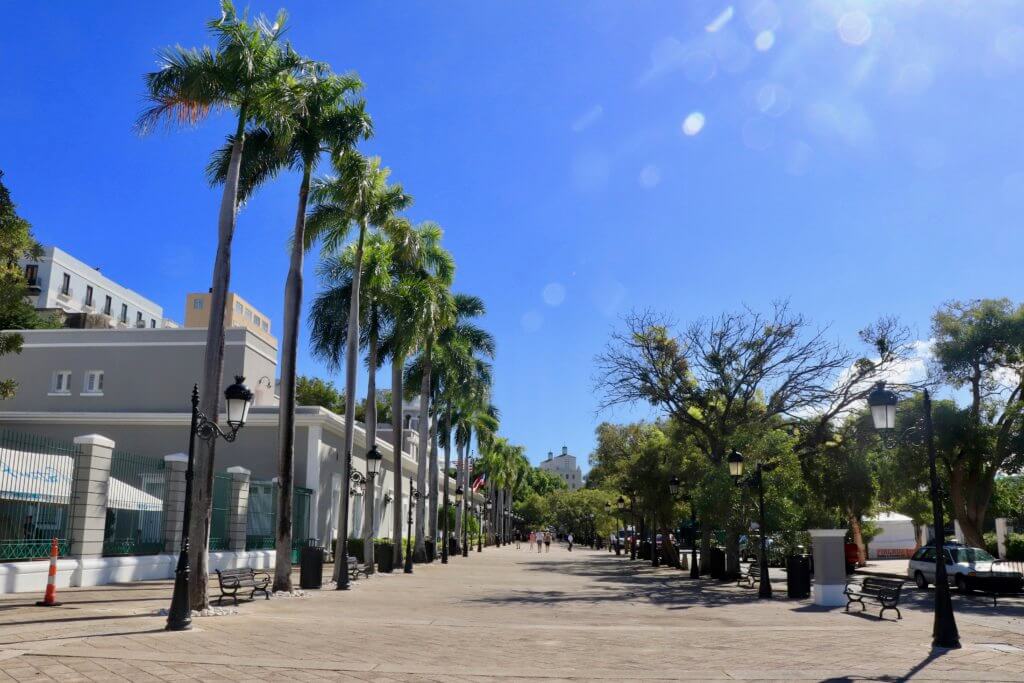 Wide Paseo de la Princesa avenue lined with palm trees