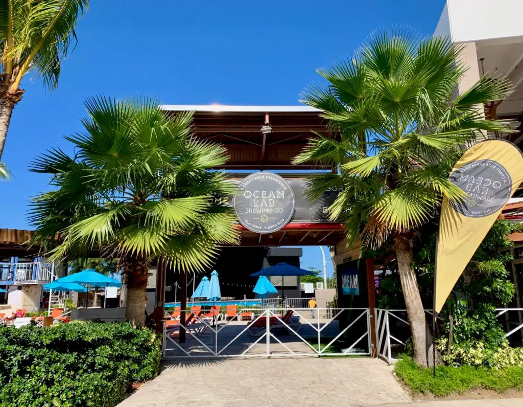 Entrance to Ocean Lab Brewing Company with palm trees