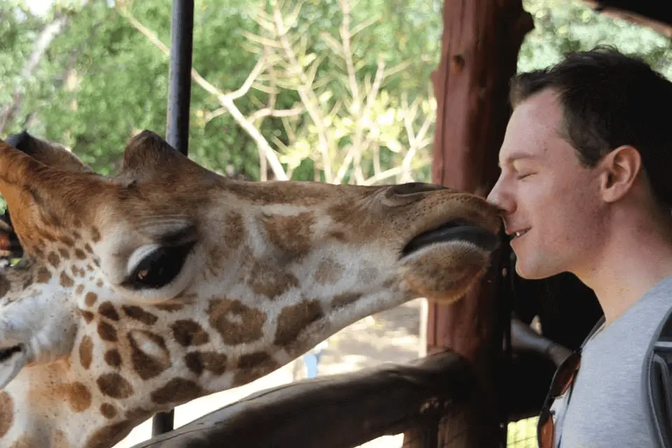 Max getting kissed on the nose by a giraffe