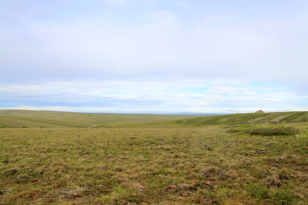 Rolling tundra on the North Slope as seen from the Dalton Highway, Alaska