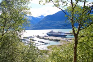 Cruise ship docked in Skagway, Alaska, as seen through trees