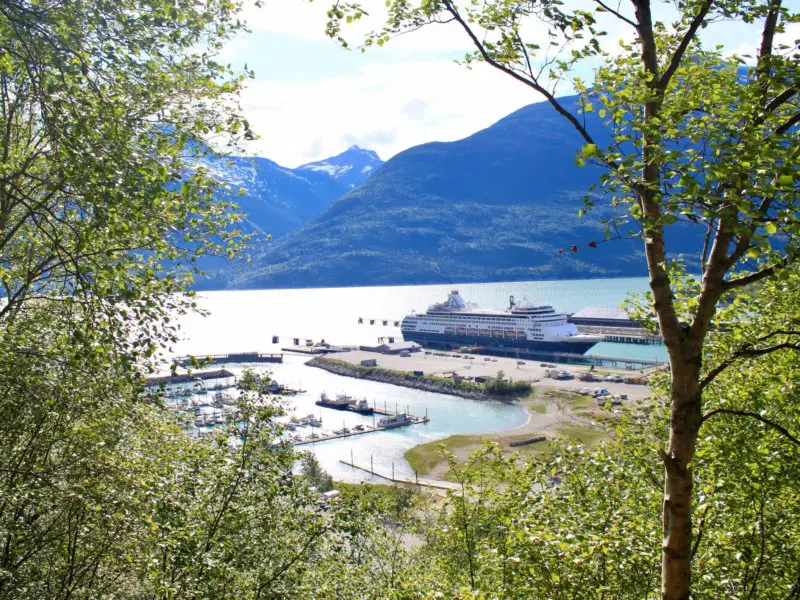 Cruise ship docked in Skagway, Alaska, as seen through trees