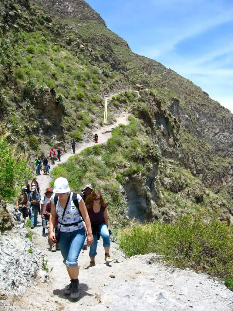 A line of hikers following a winding trail