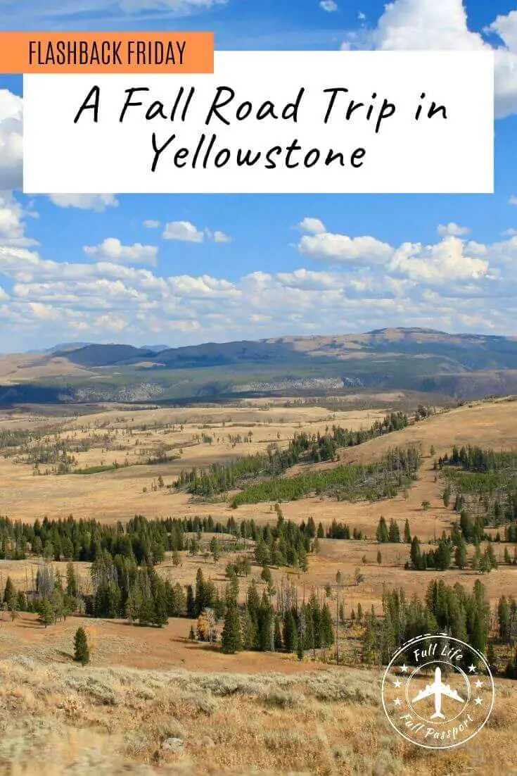Flashback Friday: A Fall Road Trip Through Yellowstone National Park