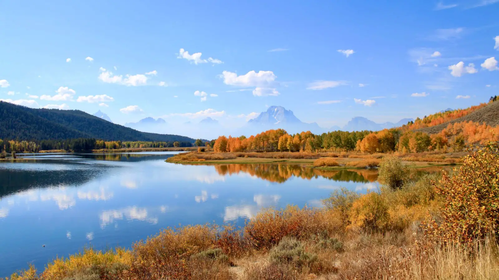 Fall brilliance at Oxbow Bend south of Yellowstone National Park