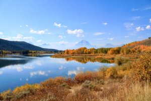 Fall brilliance at Oxbow Bend south of Yellowstone National Park