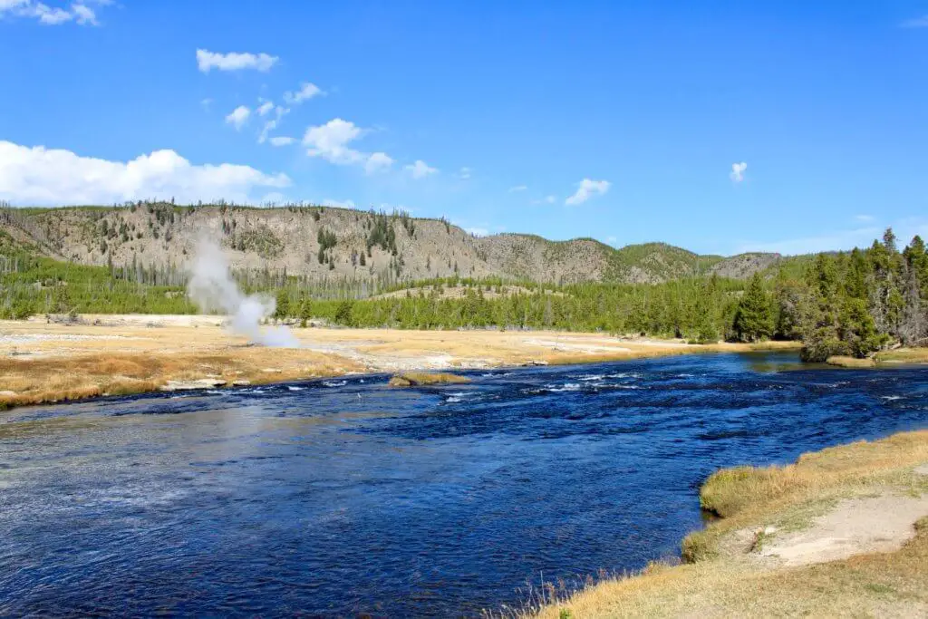 Steam vent and blue river cutting through a grassy plain on our fall road trip to Yellowstone