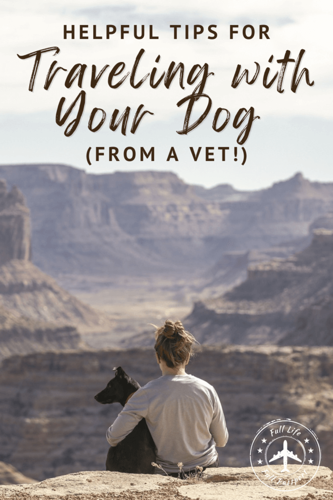 Don't miss these helpful tips from a veterinarian (and dog mom!) who will tell you everything you need to know about traveling with your dog.
