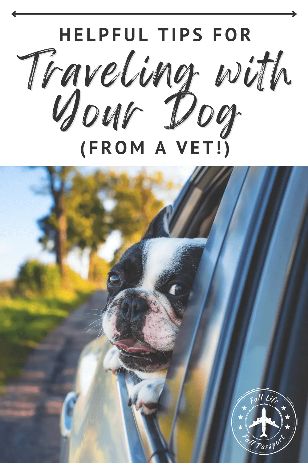Helpful Tips for Traveling with Your Dog [From a Vet!]