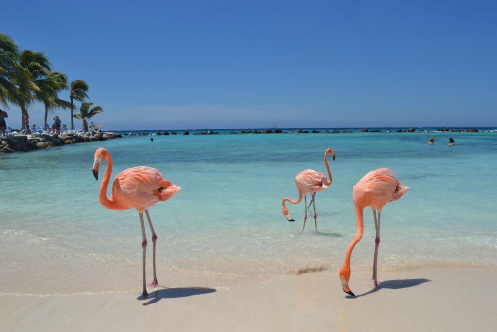 aruba travel tips