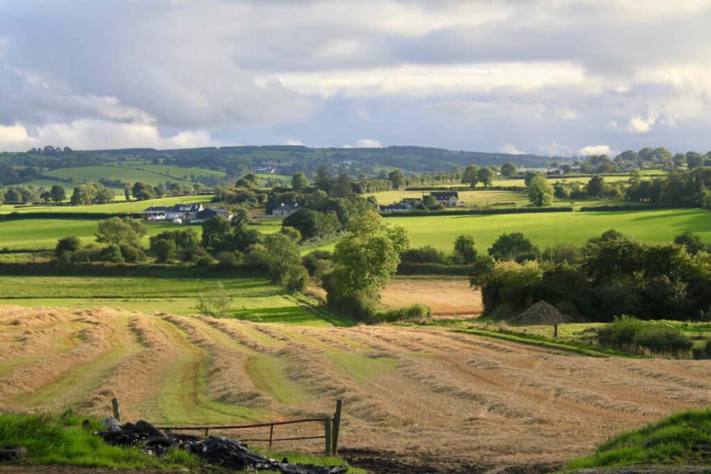 IrishCountryside_1