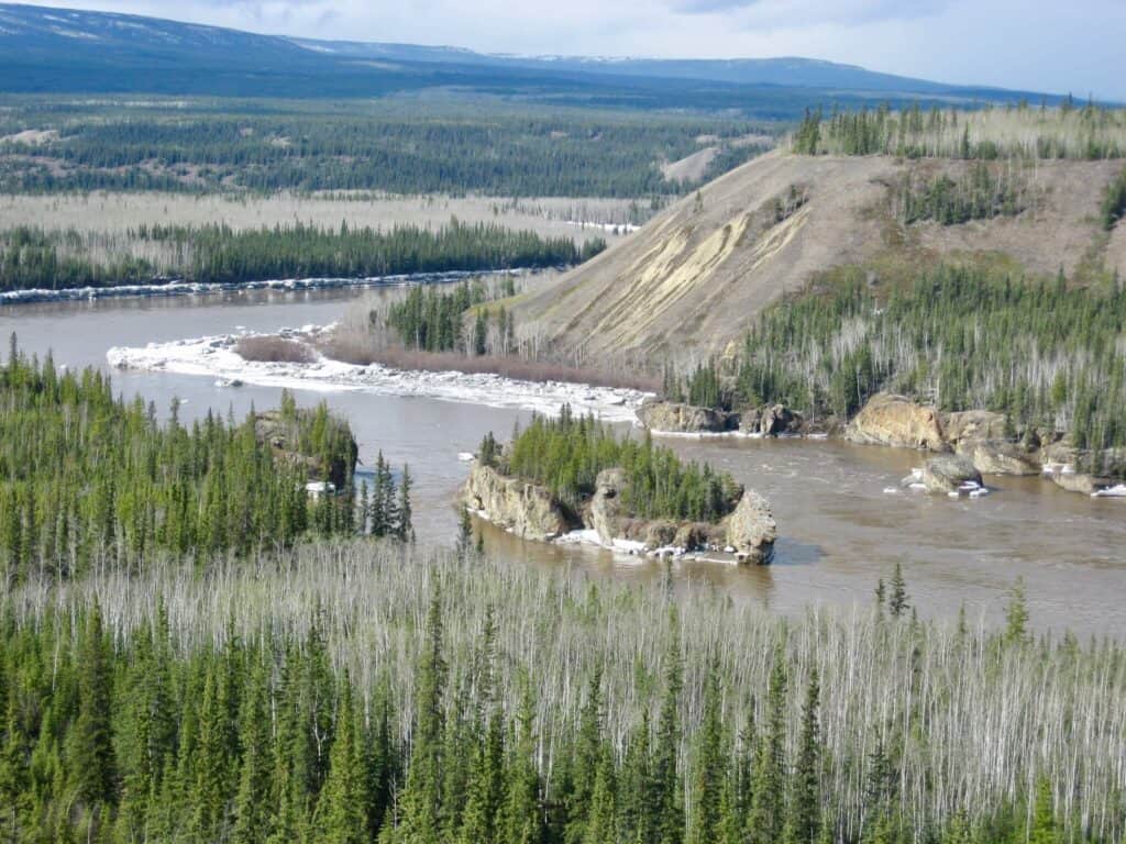 River cutting through pine forests with stone island in the middle (Five Finger Rapids)