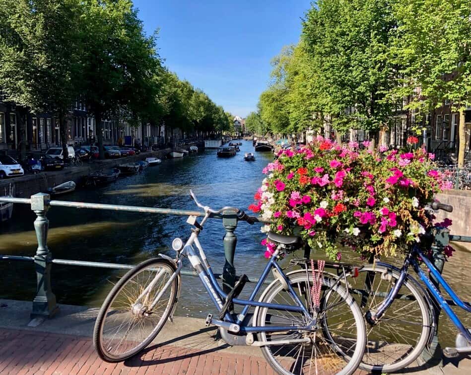 Bicycle leaning against bridge railing next to colorful flowers