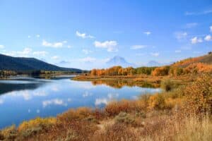 Fall brilliance at Oxbow Bend south of Yellowstone National Park