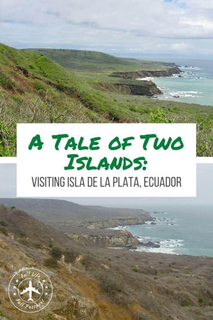 If you're on a budget, Isla de la Plata is a great alternative to the Galapagos. Take a tour from Puerto Lopez to see birds, whales, and more!
